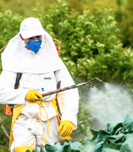 Chemicals sprayed on food